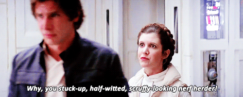 Leia 1.gif