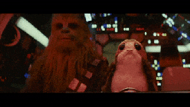 Chewie removes porg.gif