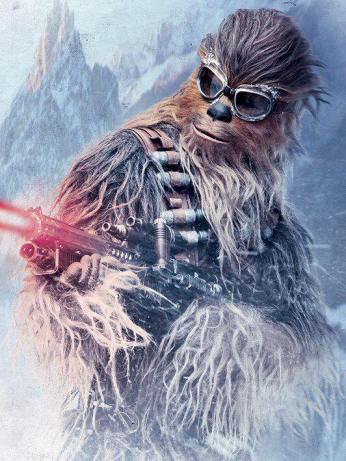 30421536_1123615394446278_8396166_n