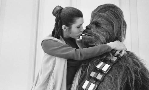 tumblr_pay7kz4RLo1v058vko1_500